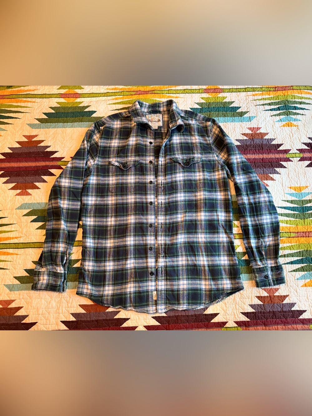 American Eagle Outfitters Blue Green Plaid Button-Down Shirt